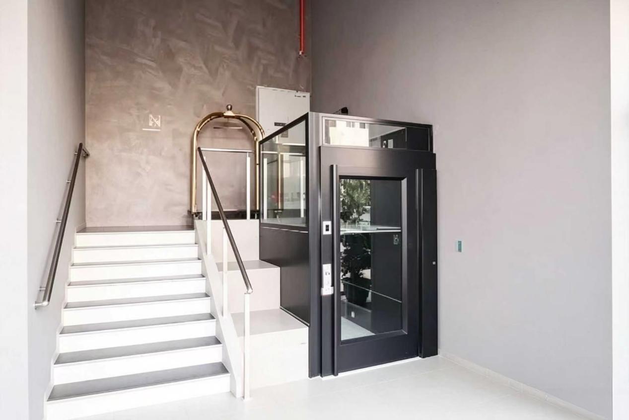 vertical platform lift home.jpeg
